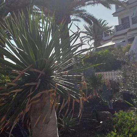 Flat Apartment Costa Del Silencio Exterior photo