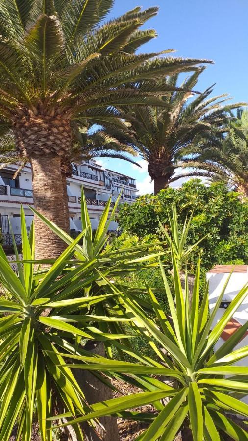Flat Apartment Costa Del Silencio Exterior photo